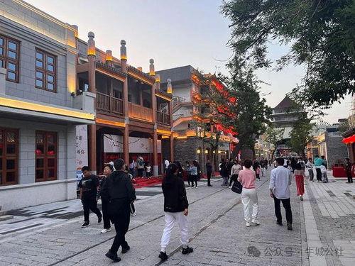 河北邢台大街爆料视频大全,街头巷尾的实时动态一网打尽  第3张